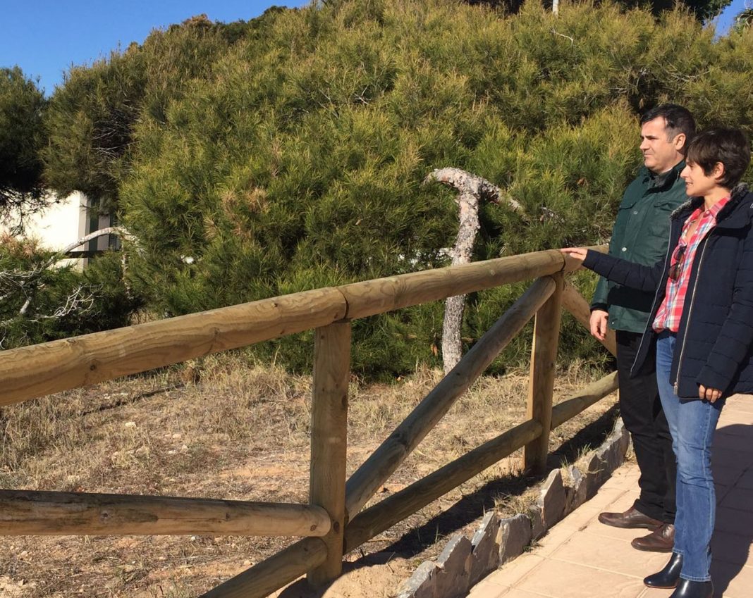 La Glea fence restored around protected area
