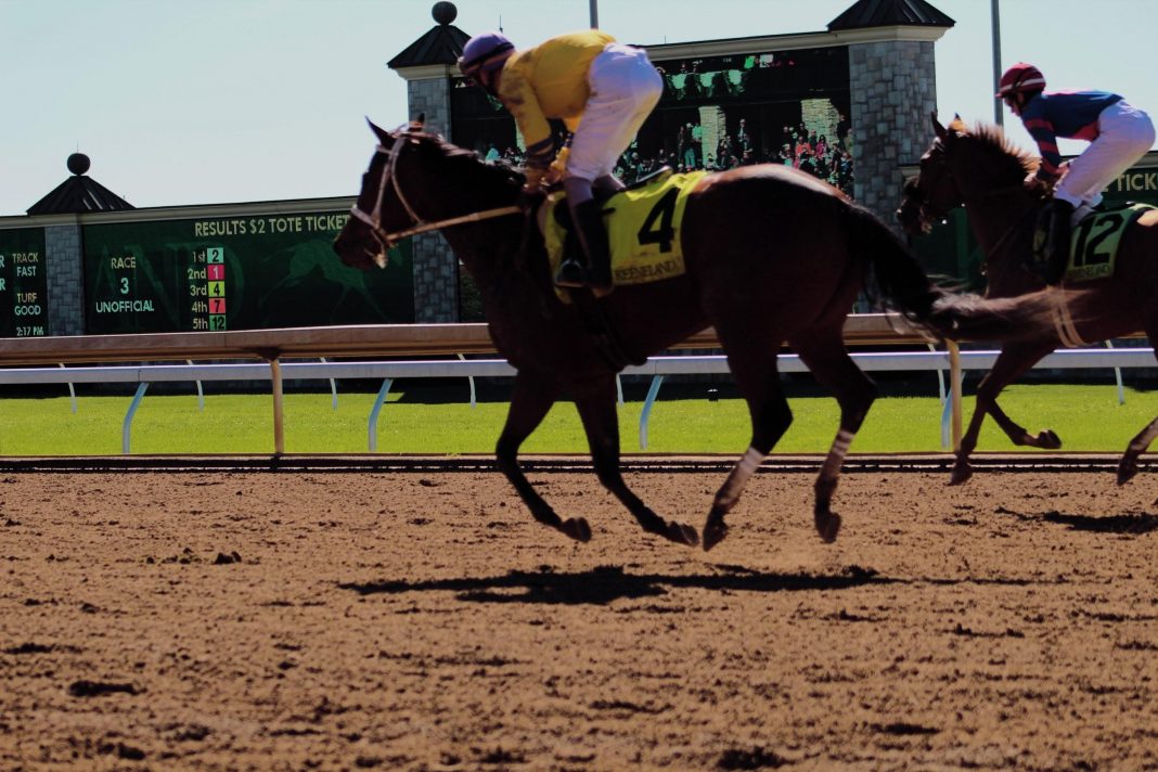Doubling Your Earnings When Betting For The 2019 Preakness Stakes. Photo by Whitney Combs on Unsplash