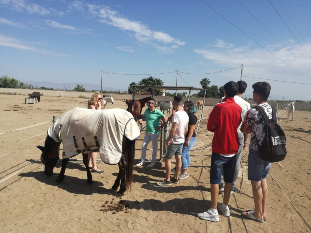 Rojales Council continues to collaborate with Easy Horse Care Rescue Centre.