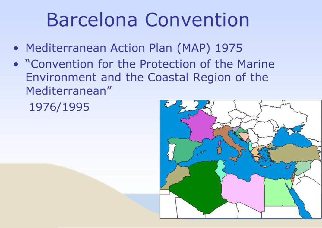 Spanish Government's proposal to incorporate Mediterranean cetacean migration