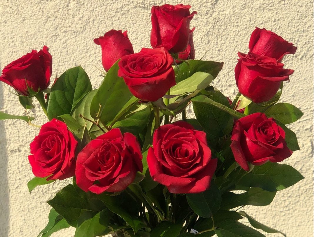 Roses: The most identified symbol of Love.
