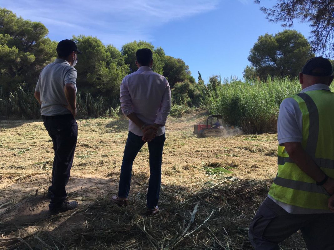 CHS undertake cleaning Orihuela Costa ramblas and riverbeds