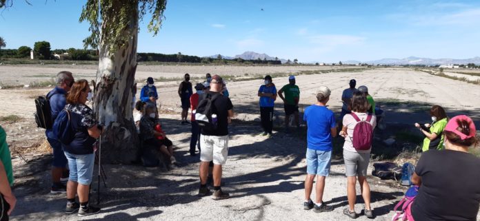 More than thirty people take part in the third ecotourism route organised in San Fulgencio