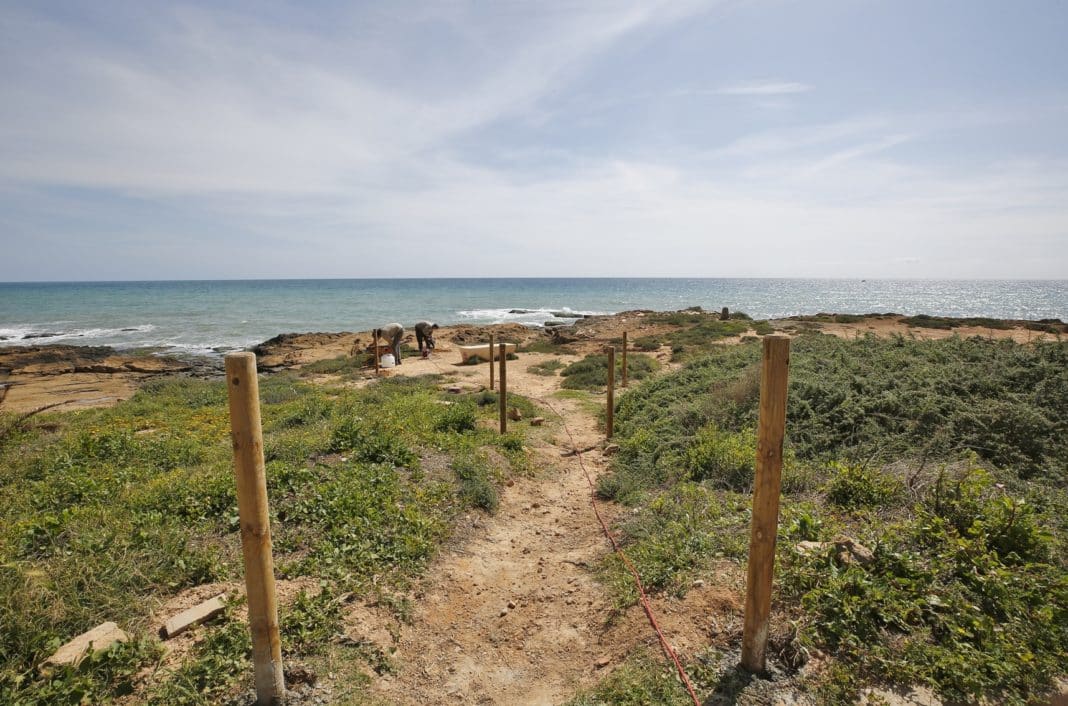 Torrevieja erects protective fencing around micro-reserve