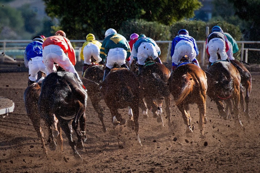 The early favorites for the biggest horse jump racing events in 2025