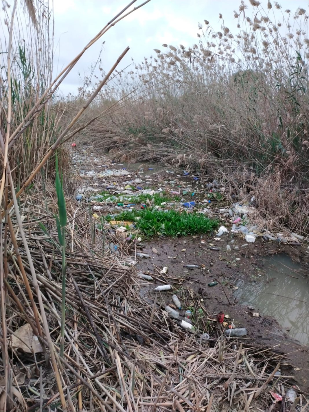 sadly the banks and the river itself are in a very poor state due to the amount of rubbish that collects there