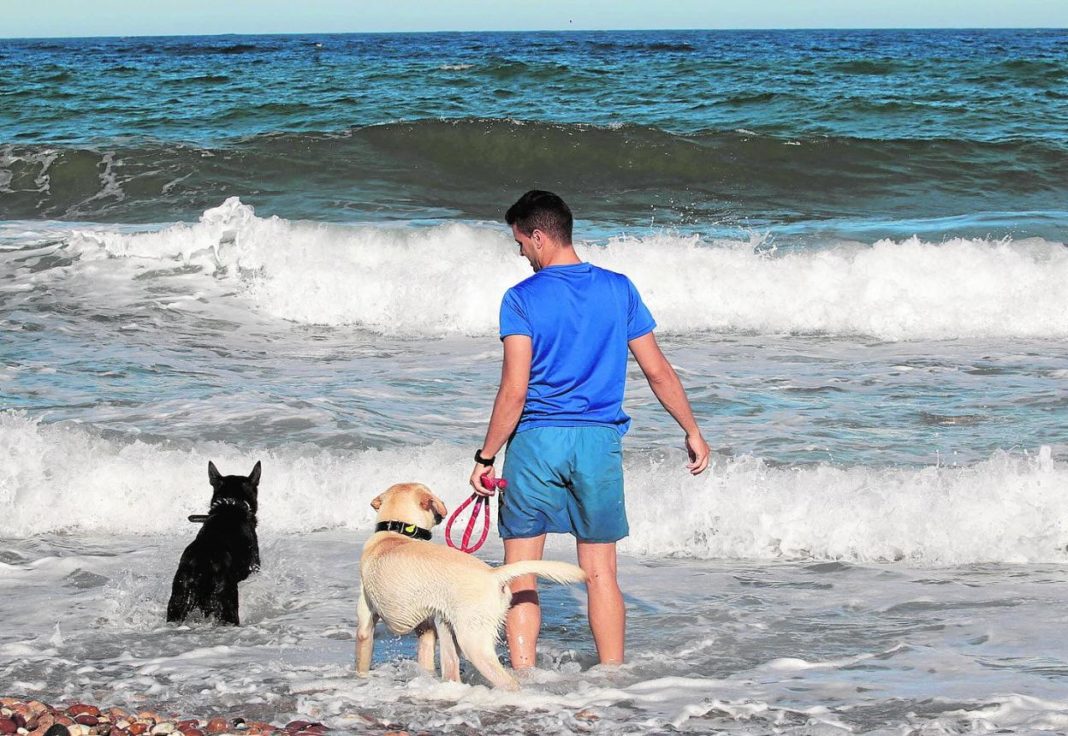 Los Alcázares to open first dog beach in the Mar Menor