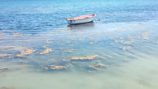 La contaminación del Mar Menor prevé la instalación de pantalanes flotantes temporales
