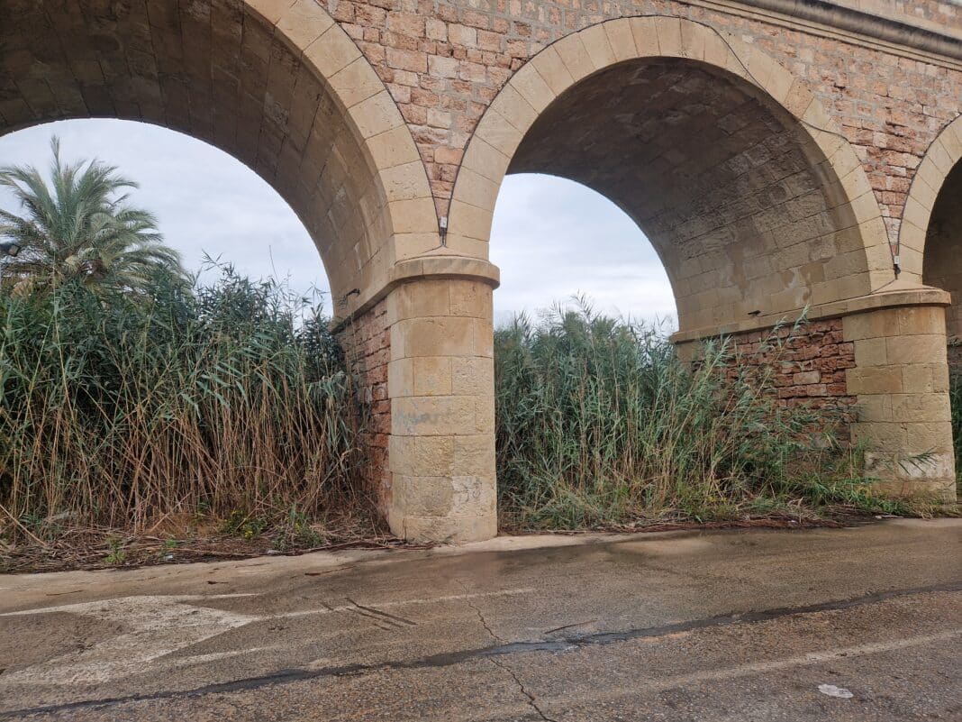 The Rio Nacimiento is complete overgrown at Campoamor Beach